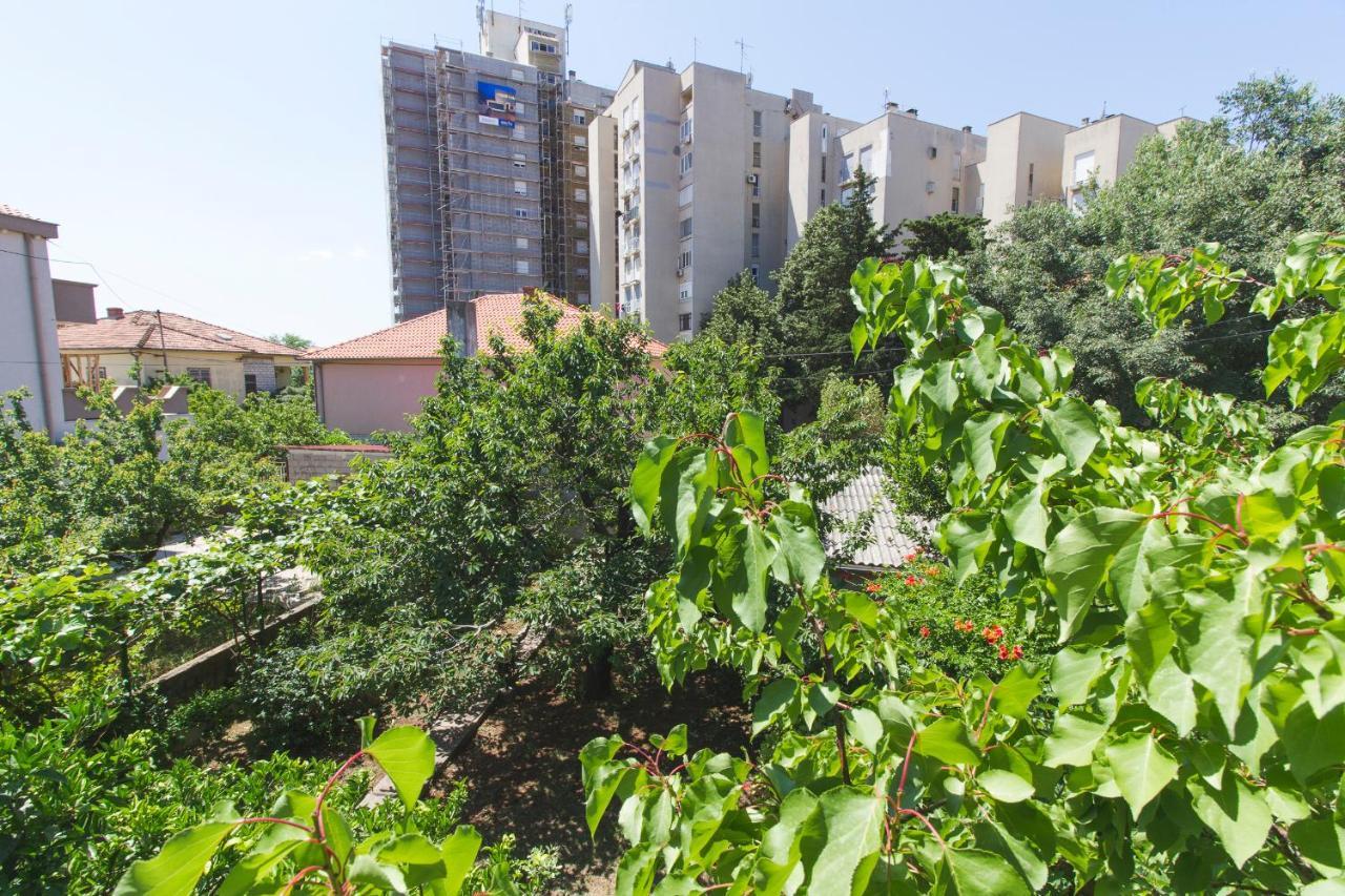 Apartman Andrijana ザダル エクステリア 写真